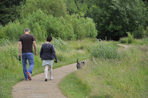 Dog walkers at Hinchingbrooke Country Park