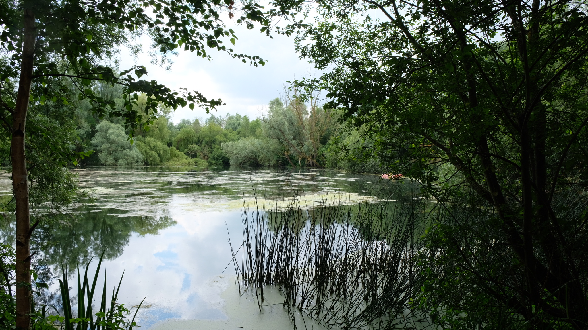 Paxton Pits