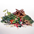 Garden waste